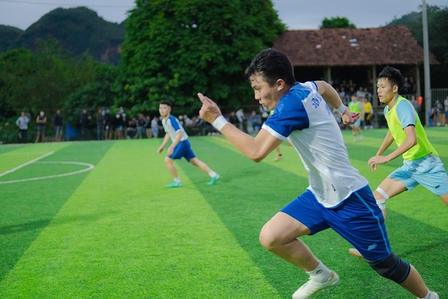或许能够找