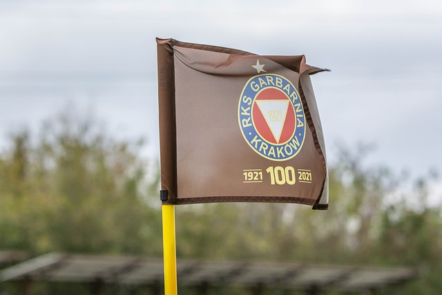 季展现了强 季展现了强