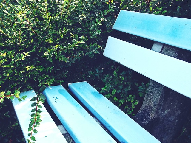 德雷森的 德雷森的