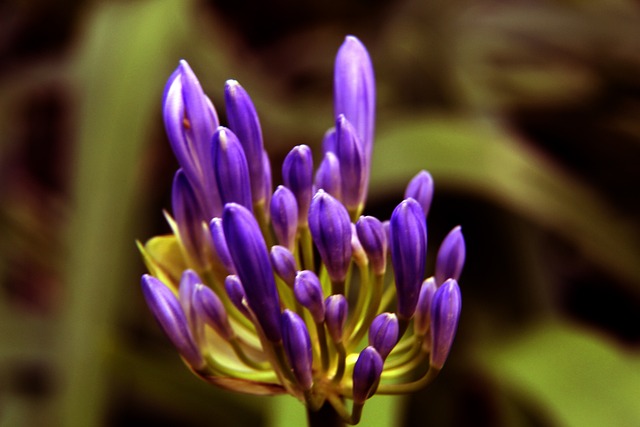 他的表現都 他的表現都