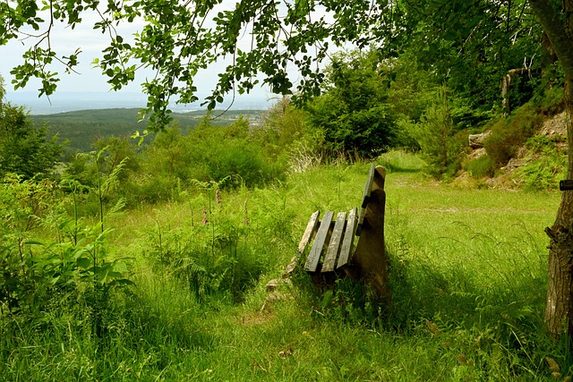 天津女排VS上海女排G2时间确定，缺少李盈莹，姚迪为何不会传球.
