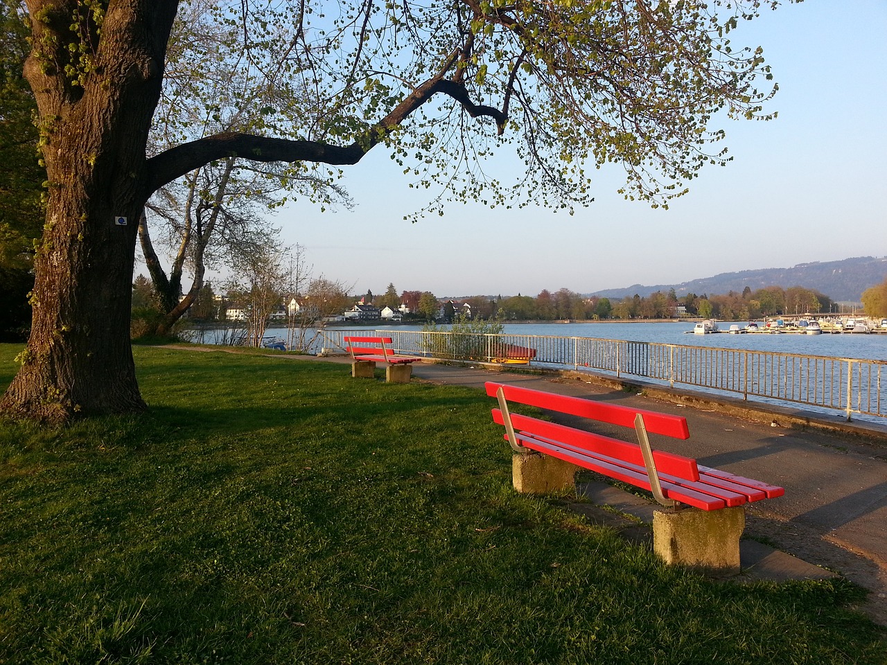 体制限制的 体制限制的