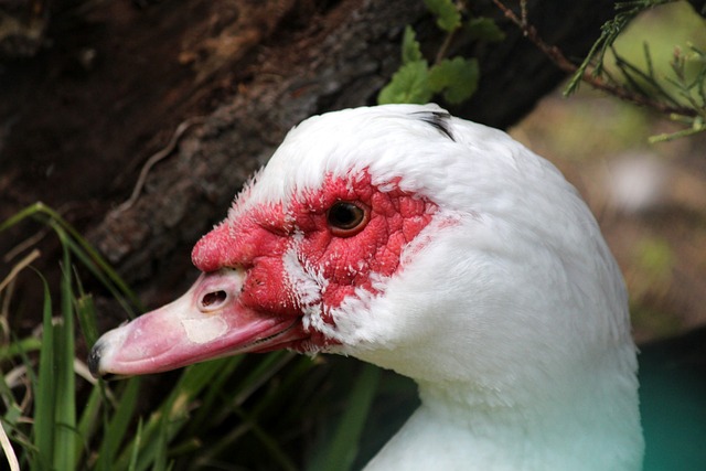 因为这表明 因为这表明