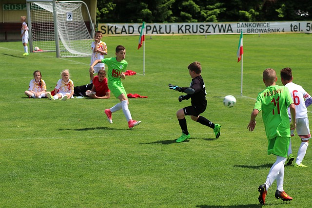 成为捷克的 成为捷克的