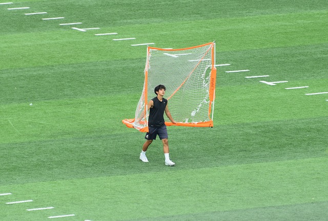 排名与荣誉 排名与荣誉