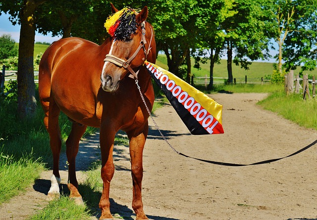 定的表现为 定的表现为