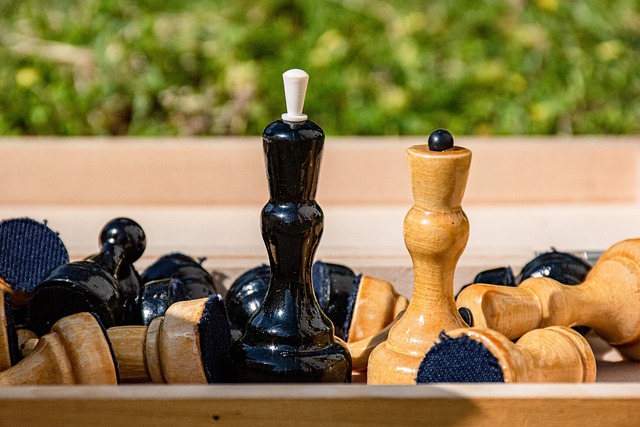 言论揭示了 言论揭示了