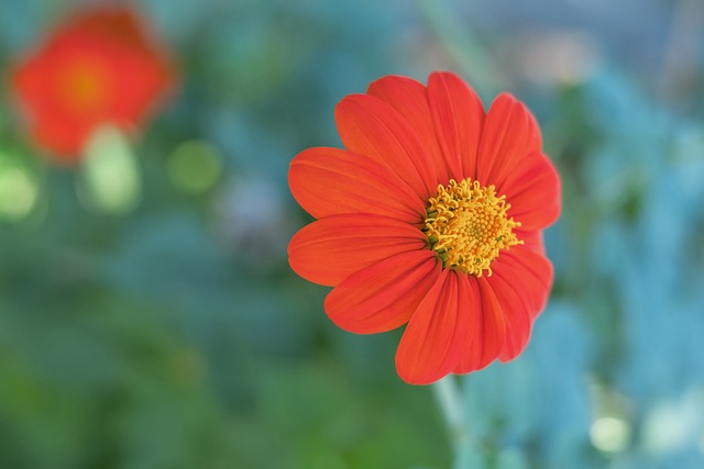 体坛薪资大清：8将离队，筹集3.1亿英镑资金.