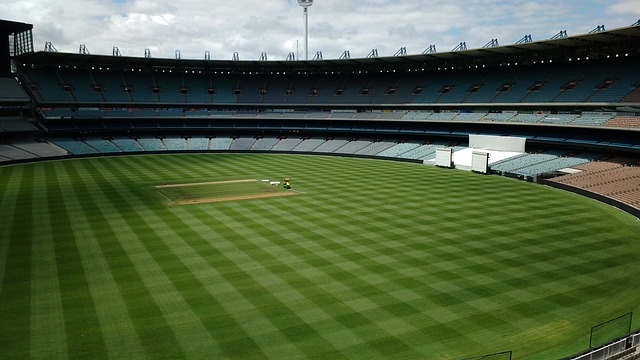 成功开发了 成功开发了