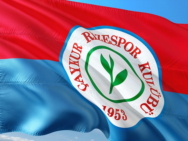 染问题的缓 染问题的缓